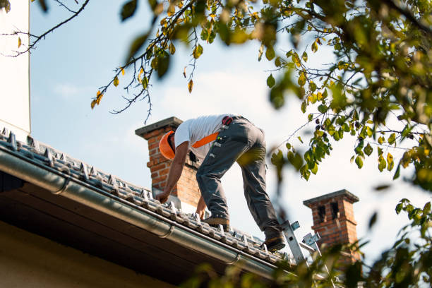 Best Roof Waterproofing  in Darlington, WI
