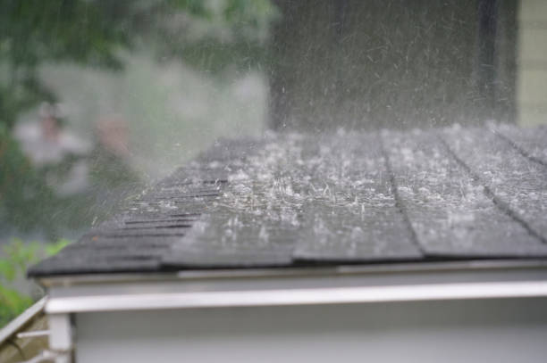 Best Hot Roofs  in Darlington, WI