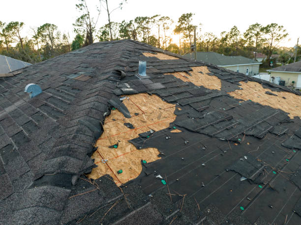 Best Chimney Flashing Repair  in Darlington, WI