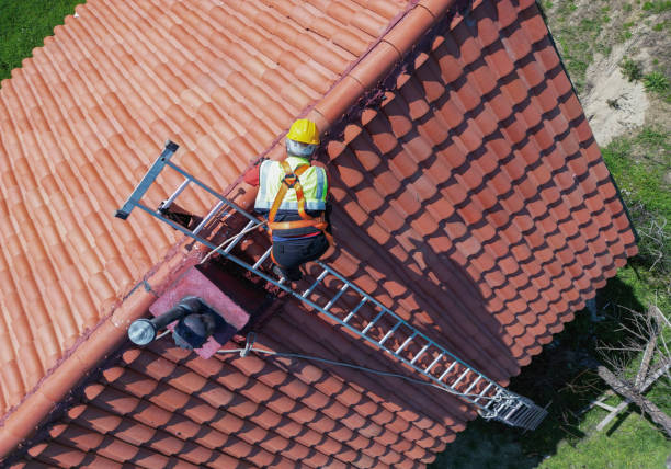 Best Asphalt Shingles Roofing  in Darlington, WI