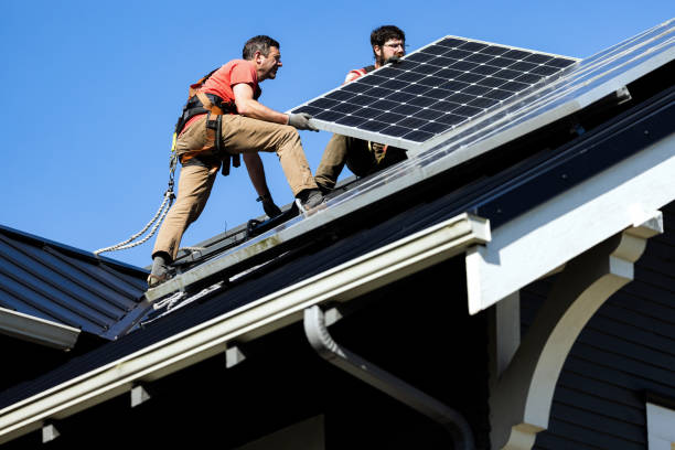 Best Roof Moss and Algae Removal  in Darlington, WI